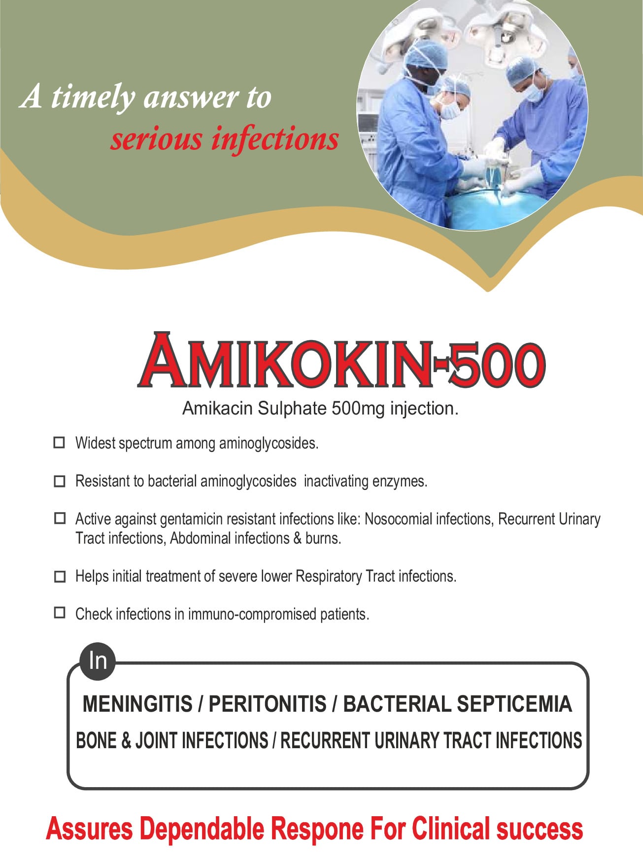 Amikokin-500
